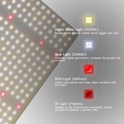 DEVIL GROW™  DG-4000 450W LED Commercial Grow Light Samsung led LM301B Indoor IP